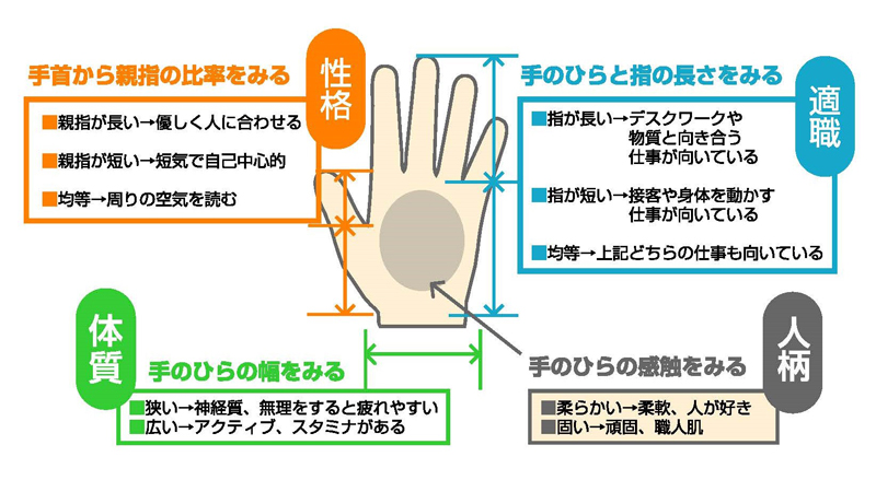 自分の適材適所は？さっそく手を見てチェック